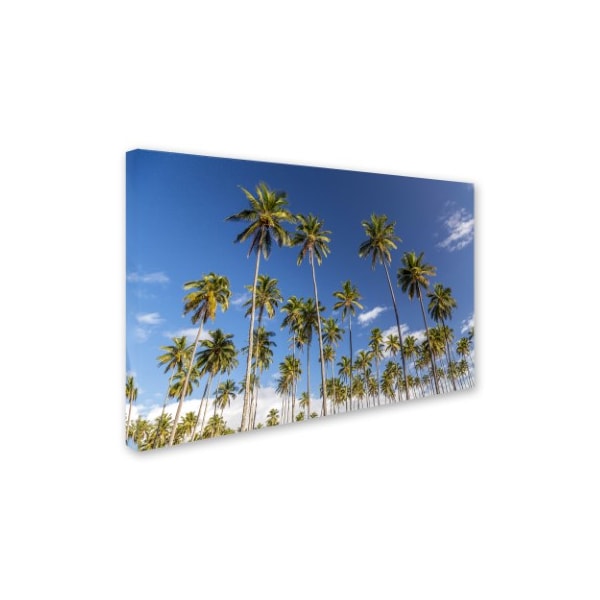 Pierre Leclerc 'Coconut Grove' Canvas Art,30x47